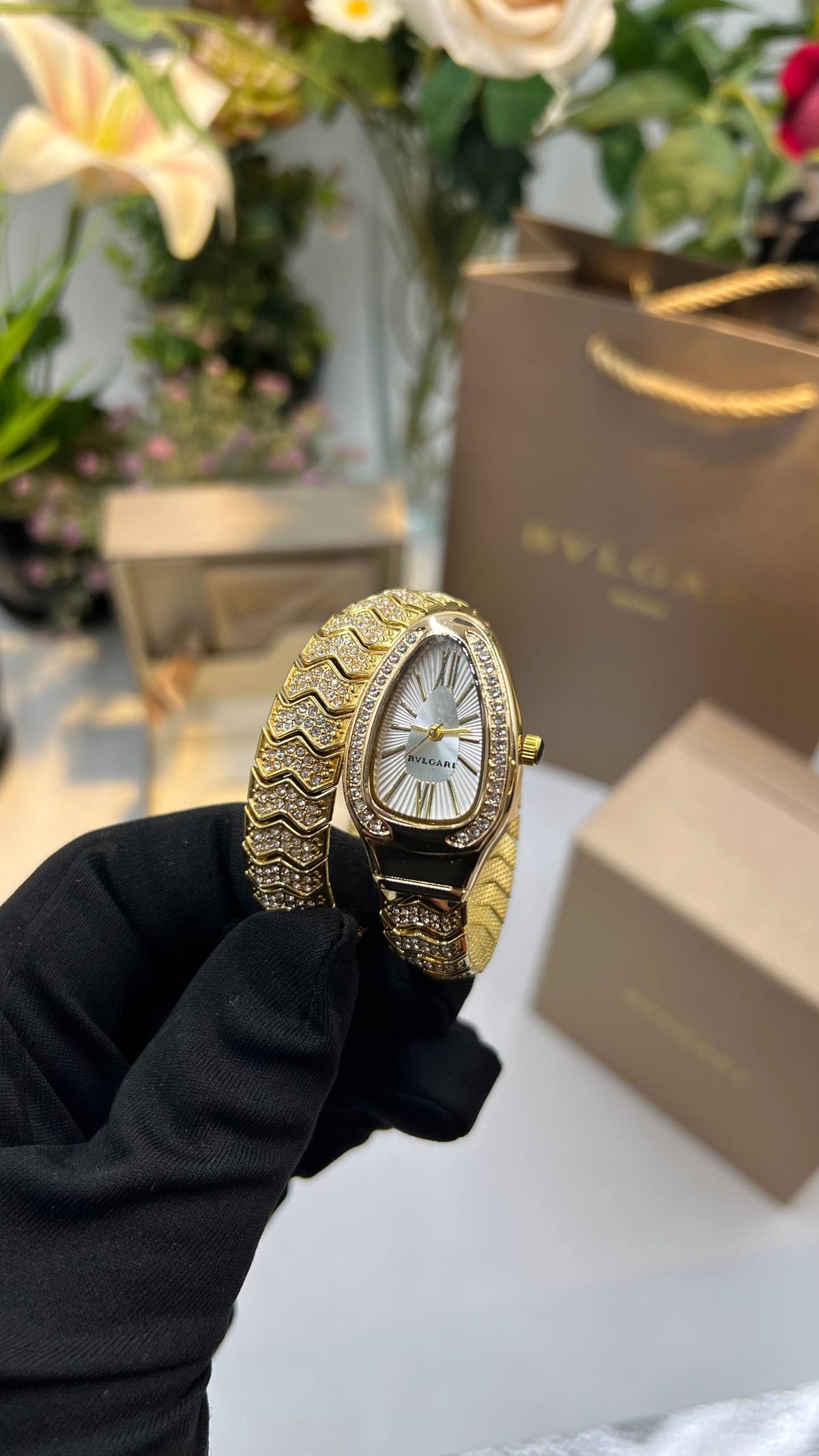 BVIGARl - Watch