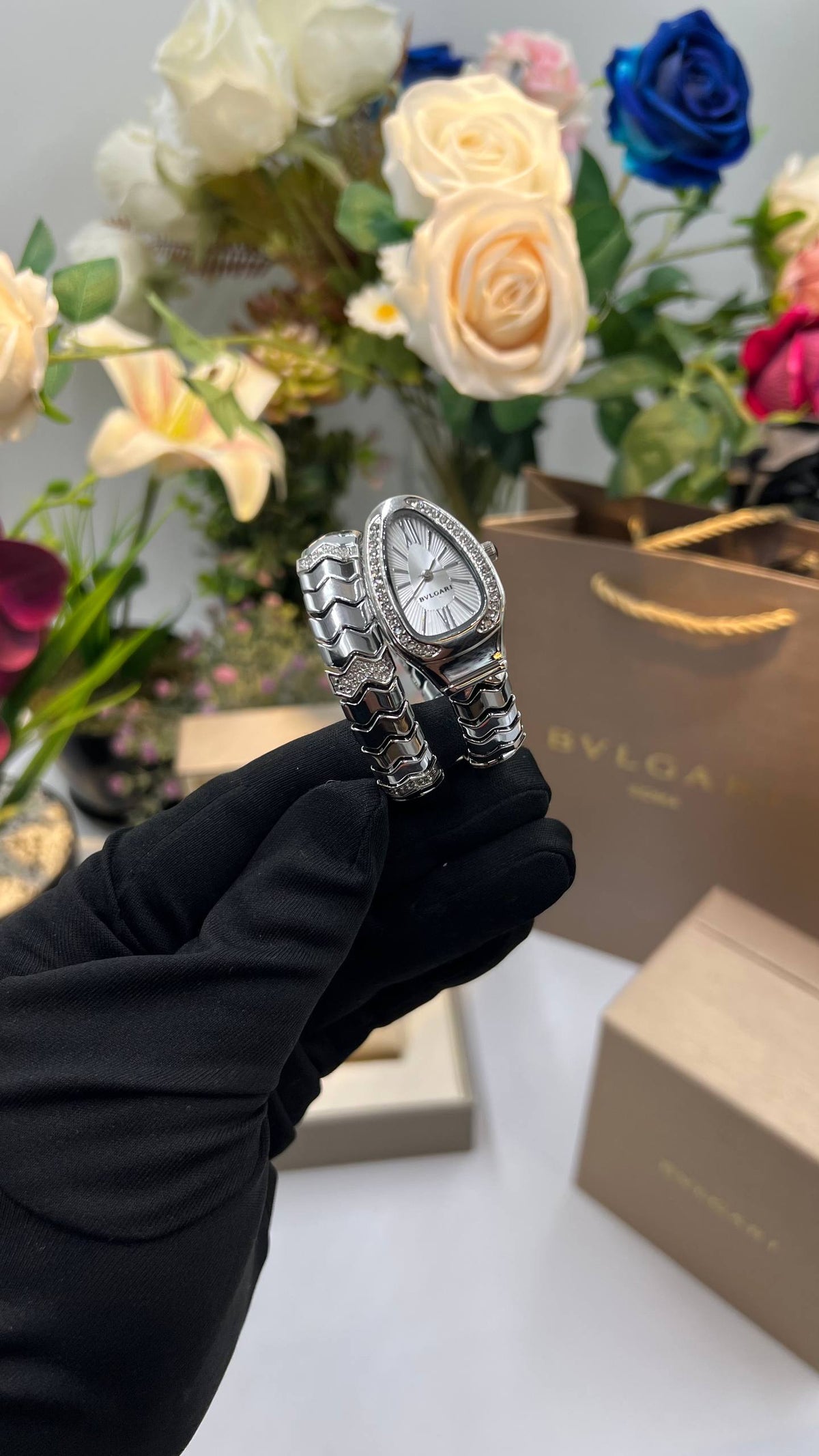 BVIGARl - Watch